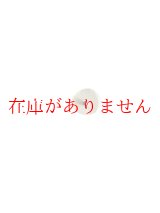 画像: マグレインチタンビーズクリア２００粒入（レターパックライト発送・銀行振込）