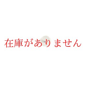 画像: マグレインチタンビーズクリア２００粒入（レターパックライト発送・銀行振込）